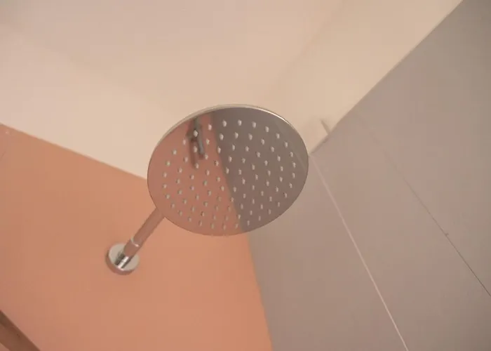 Le Fanciulle Di Appartement *